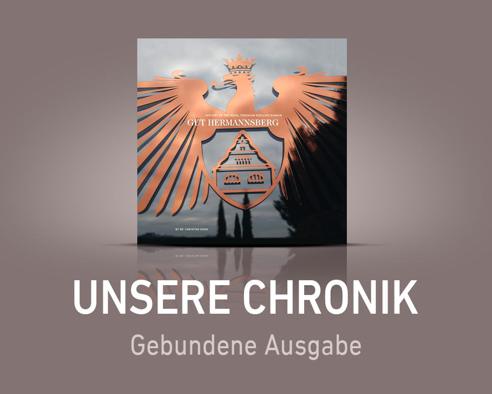 Banner Historie Chronik