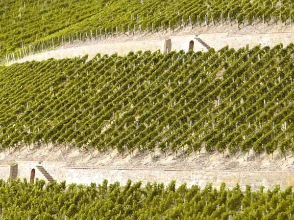 Schlossböckelheimer Kupfergrube