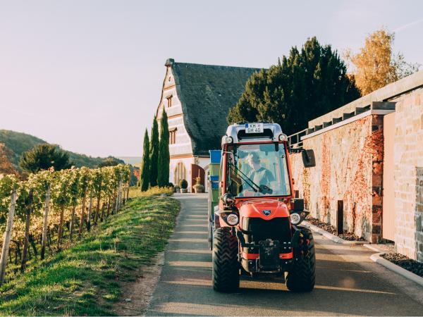 Jahrgangsbericht 2019