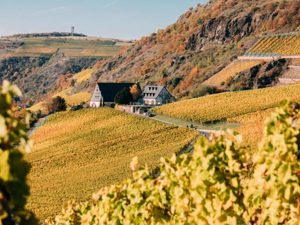 Gut Hermannsberg im Herbst
