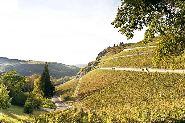 Kupfergrube 