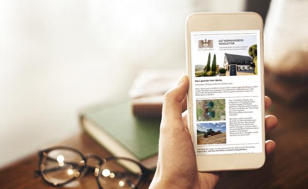Newsletter