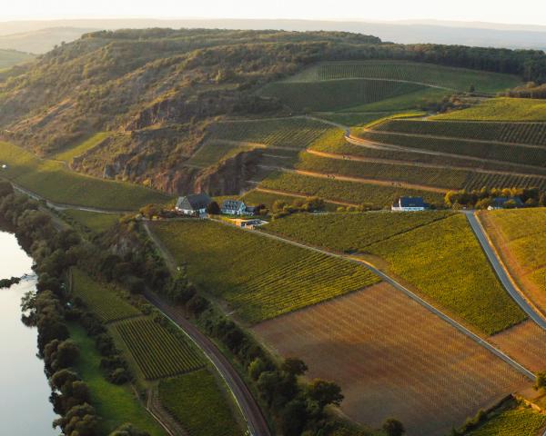 Landschaft Gut Hermannsberg & Weinberge 