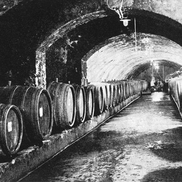 Für die Lagerung der Weinfässer musste ein rund 90 Meter langer Keller tief in den Berg getrieben werden.