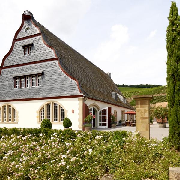 Unser Haupthaus mit Vinothek & Gutsrestaurant