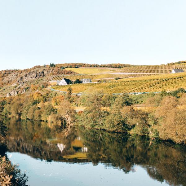 Niederhäuser Hermannsberg A