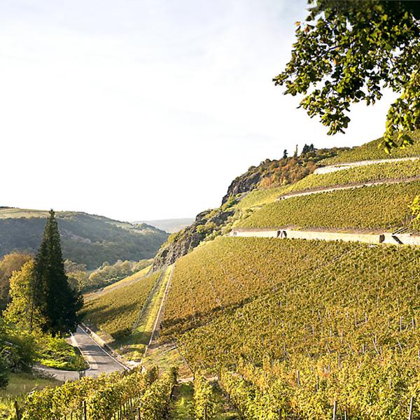 Schlossböckelheimer Kupfergrube 