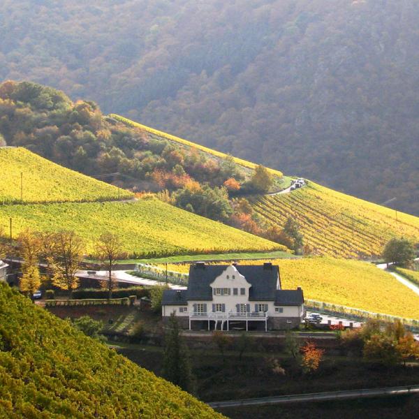 Niederhäuser Steinberg A