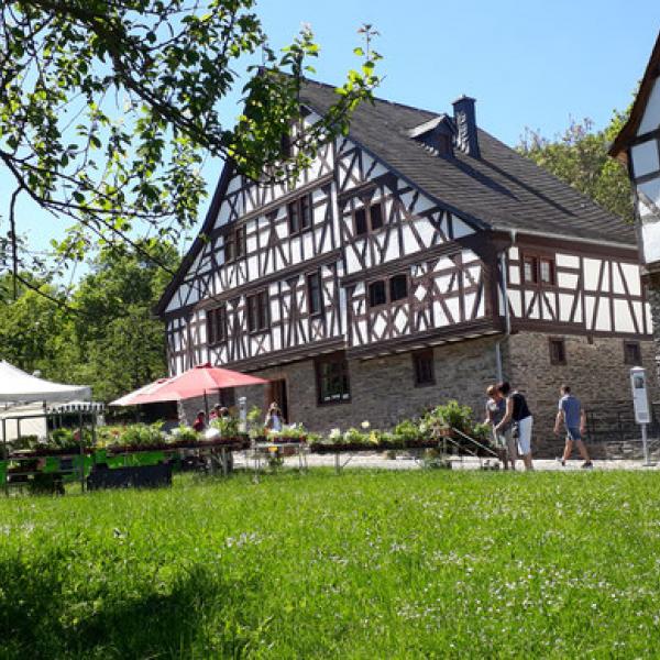 Freilicht1