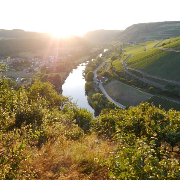 Wandern5
